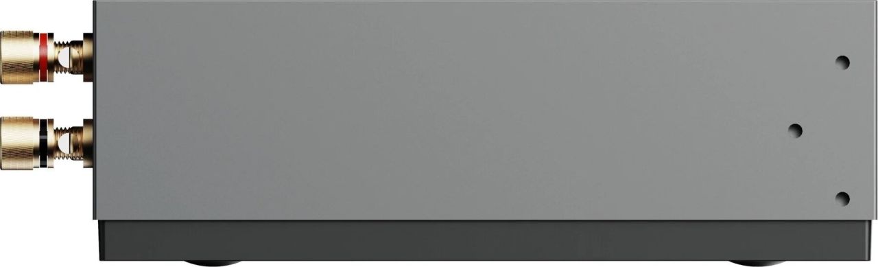 WiiM CI AMP MOD A80 WiiM CI AMP MOD A80