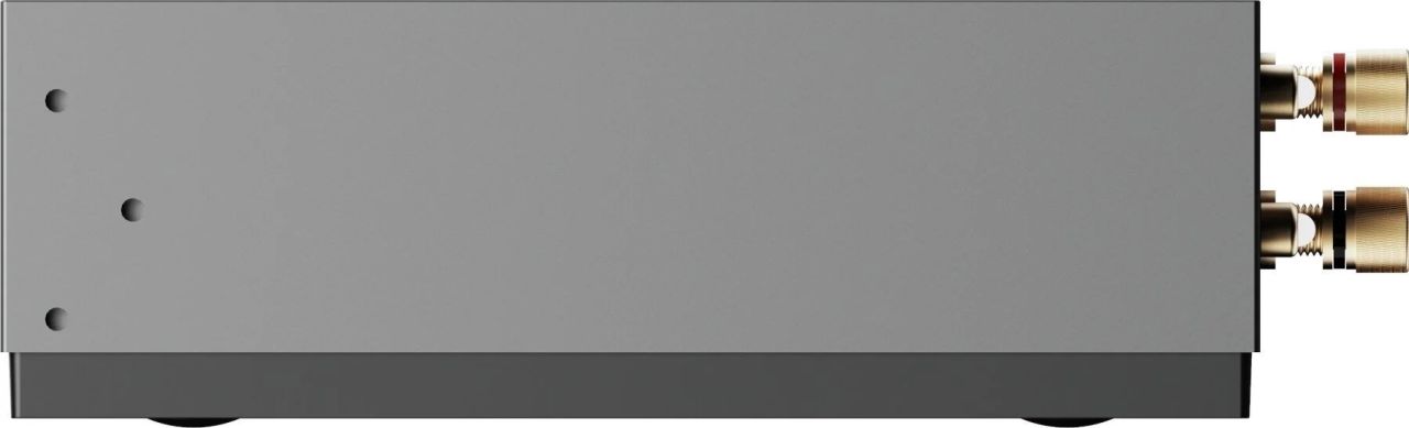 WiiM CI AMP MOD A80 WiiM CI AMP MOD A80