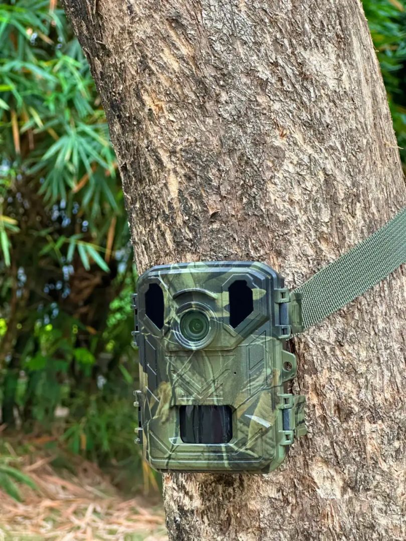 Denver WCS-5023 Digital wildlife mini camera Denver WCS-5023 Digital wildlife mini camera