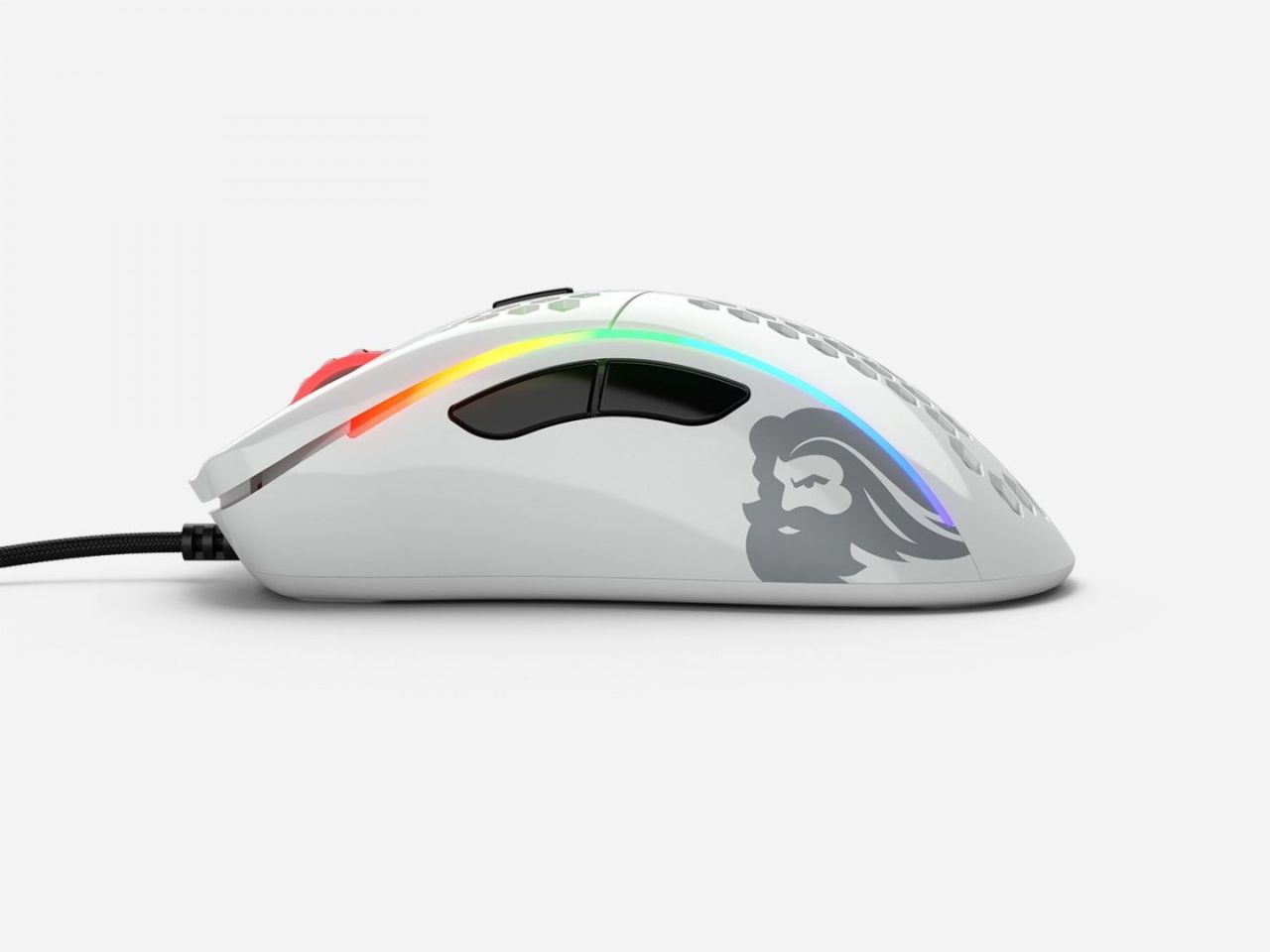 Glorious Model D Gaming Race RGB Glossy White Glorious Model D Gaming Race RGB Glossy White