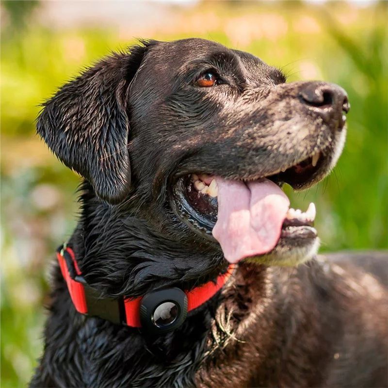 Spigen Pet Collar AirTag Black Spigen Pet Collar AirTag Black