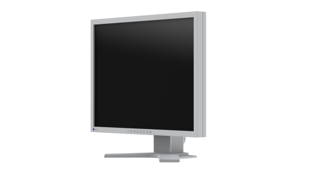 Eizo 21,3" FlexScan S2134-GY IPS LED