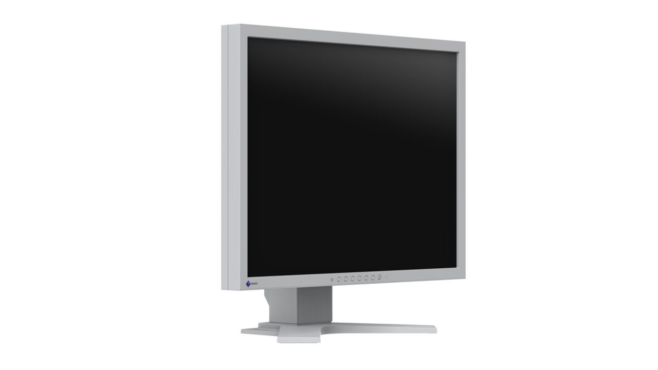 Eizo 21,3" FlexScan S2134-GY IPS LED