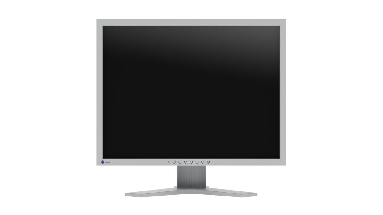 Eizo 21,3" FlexScan S2134-GY IPS LED