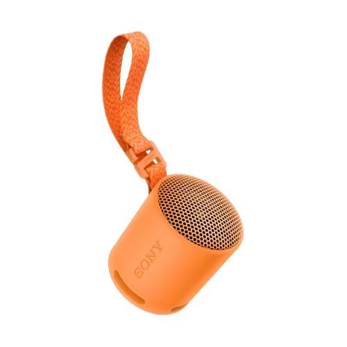 Sony SRSX-B100 Bluetooth Speaker Orange Sony SRSX-B100 Bluetooth Speaker Orange