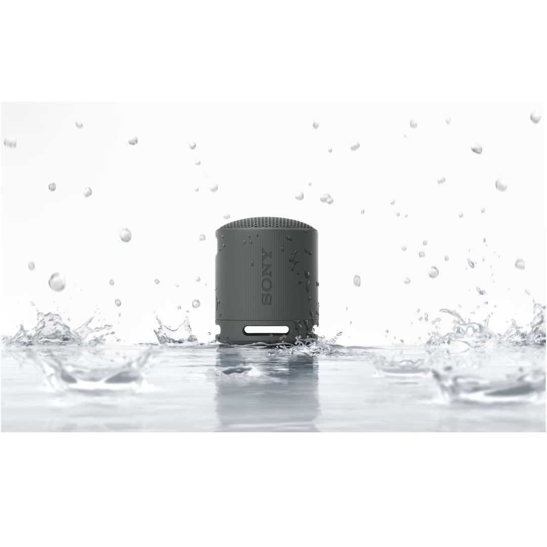 Sony SRSX-B100 Bluetooth Speaker Black Sony SRSX-B100 Bluetooth Speaker Black