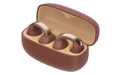 JVC HA-NP1T Bluetooth Headset Brown/Silver JVC HA-NP1T Bluetooth Headset Brown/Silver