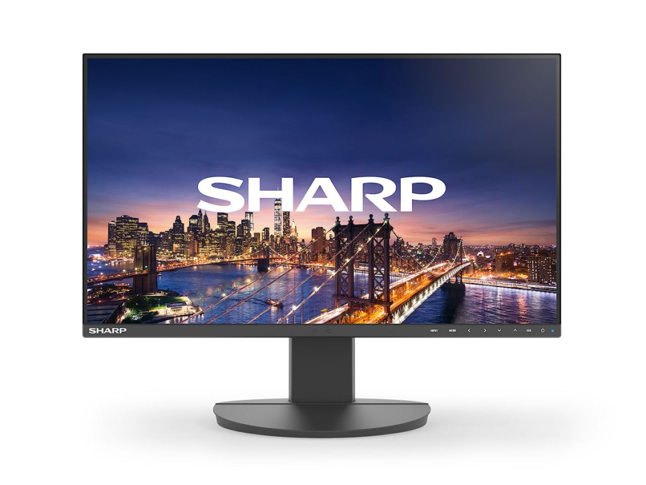 Sharp 24" MultiSync EA241F IPS LED Sharp 24" MultiSync EA241F IPS LED