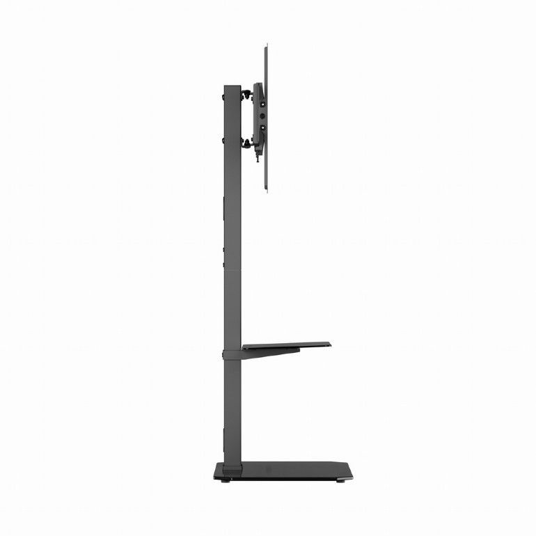 Gembird TVS-86ST-01 TV floor stand 43"-86" Black