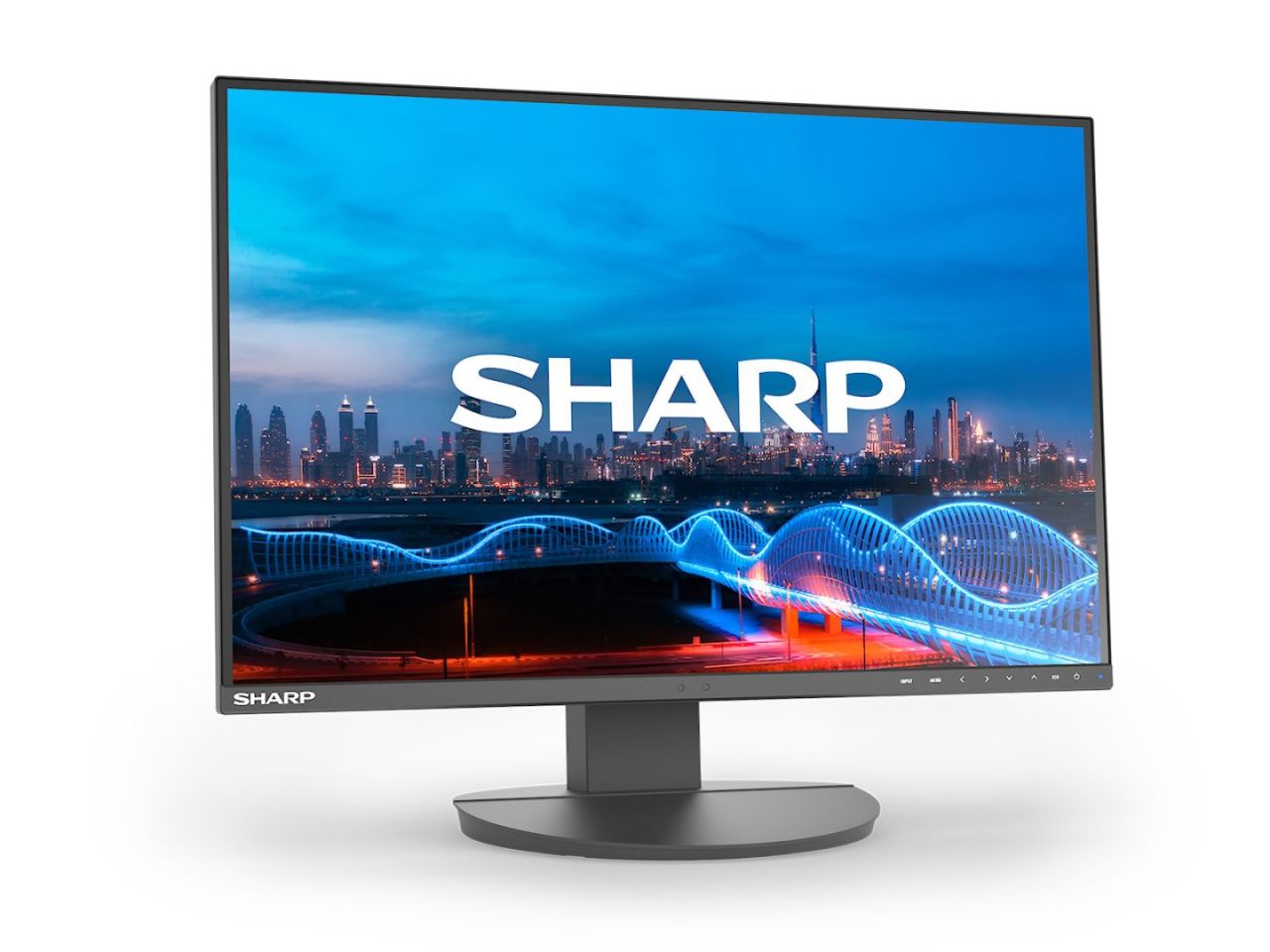 Sharp 24" MultiSync EA241W IPS LED
