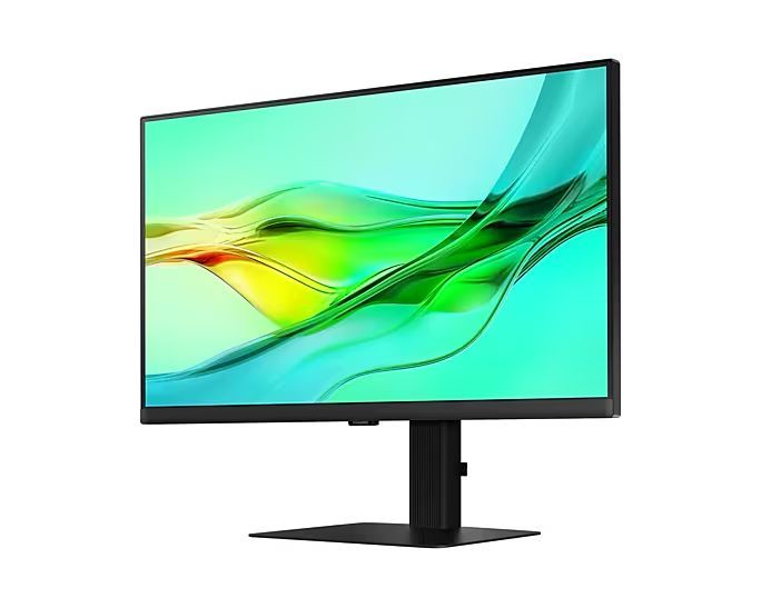 Samsung 24" LS24D604UAUXEN IPS LED
