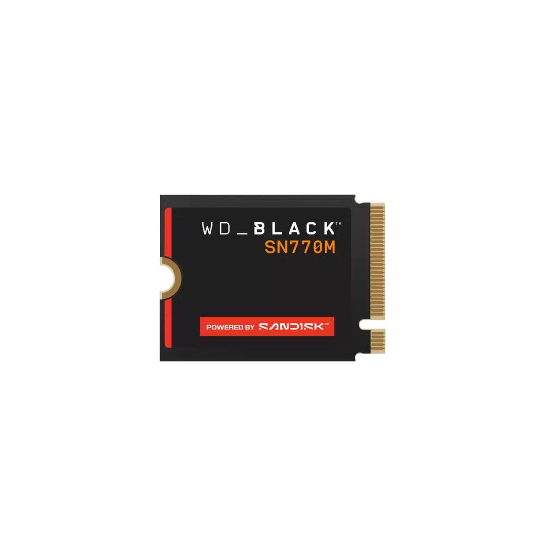 Sandisk 1TB M.2 2230 NVMe SN770M Sandisk 1TB M.2 2230 NVMe SN770M