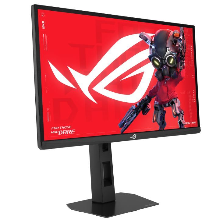 Asus 24,1" XG248QSG LED