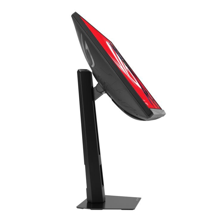 Asus 24,1" XG248QSG LED