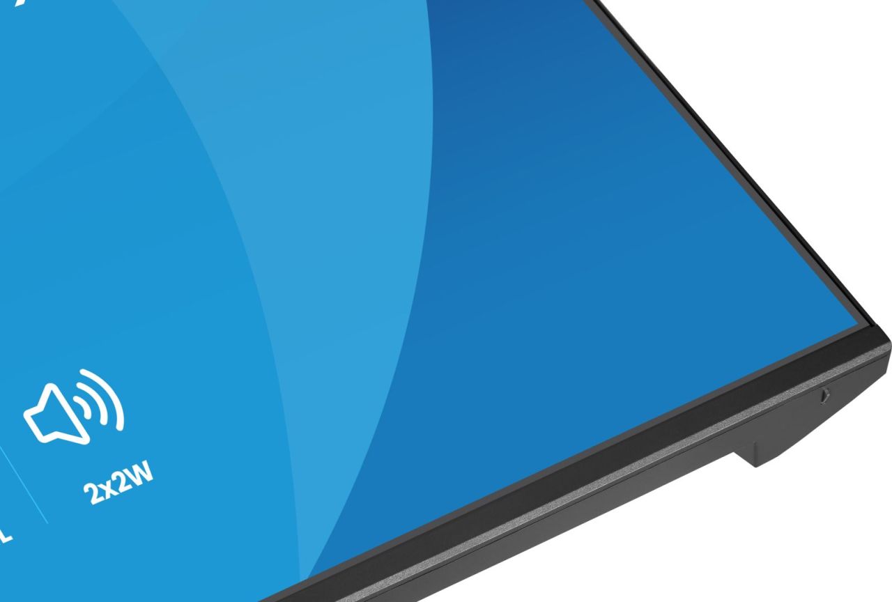 iiyama 23,8" ProLite X2493HSU-B1 IPS LED