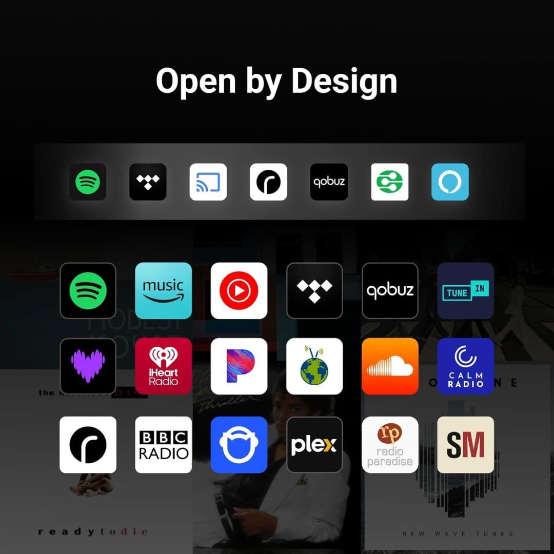 WiiM Sound Lite Speaker Black