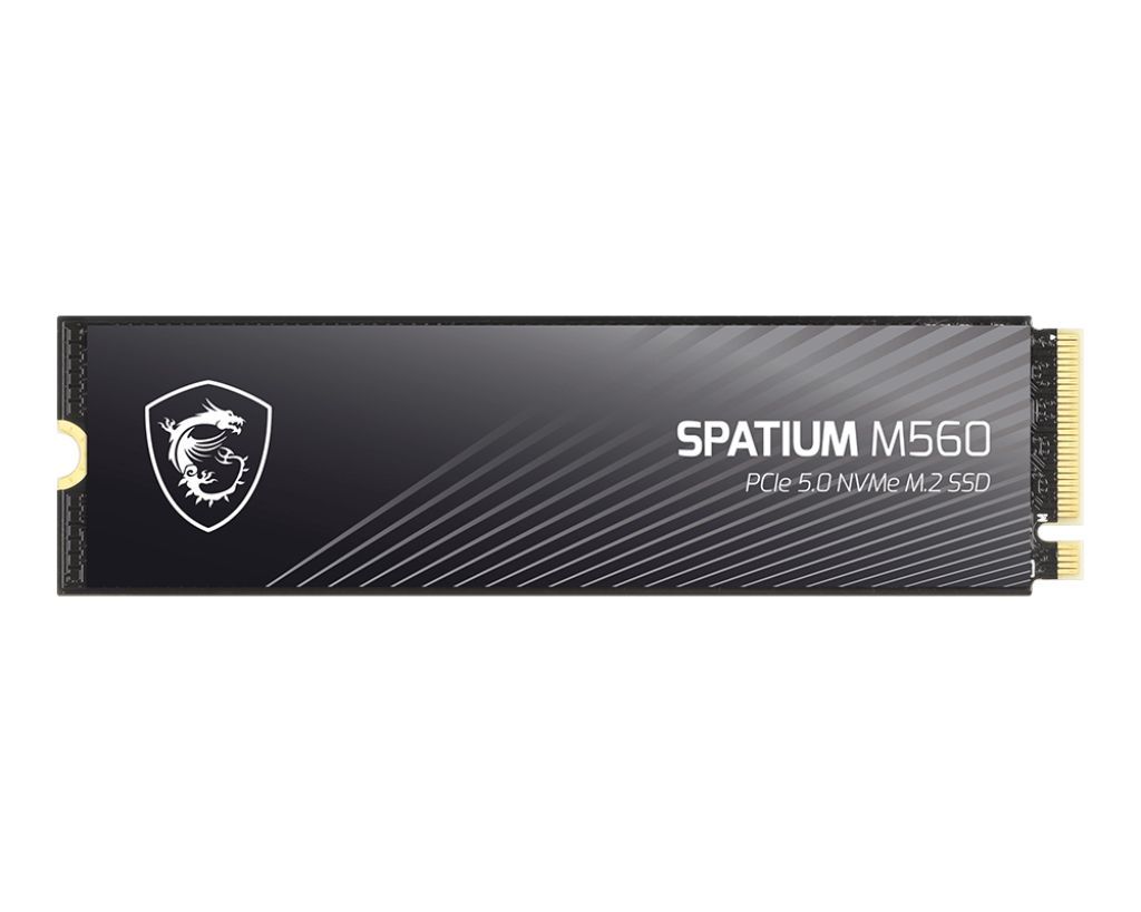 Msi 1TB M.2 2280 NVMe Spatium M560