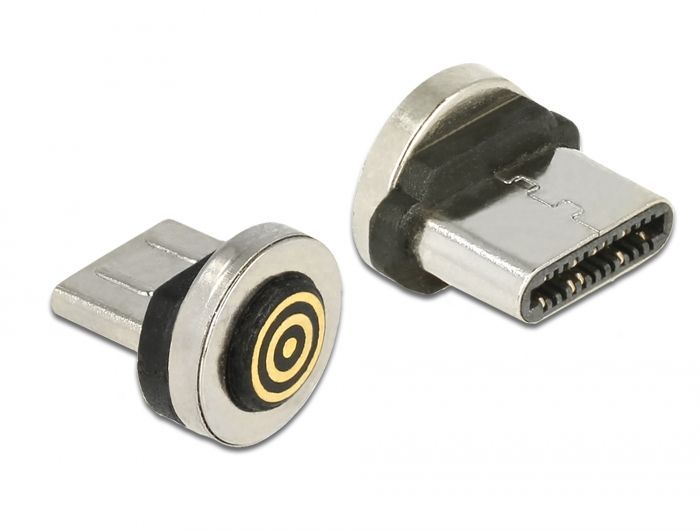 DeLock Magnetic USB Type-C male adapter