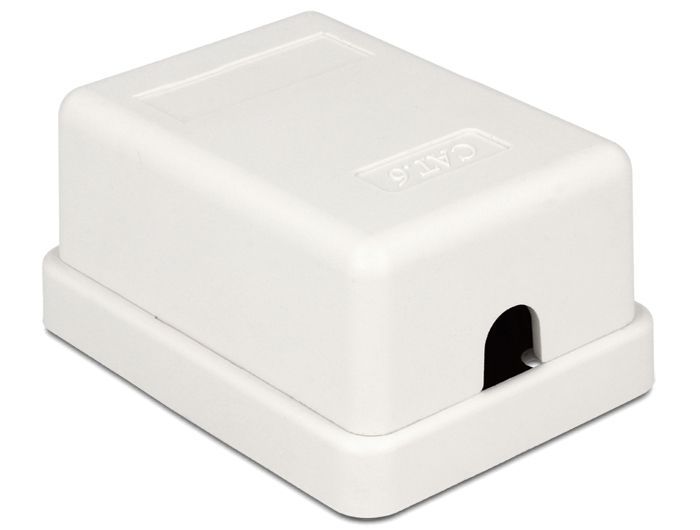 DeLock Modular Wall Outlet 1 Port Cat.6 compact UTP DeLock Modular Wall Outlet 1 Port Cat.6 compact UTP