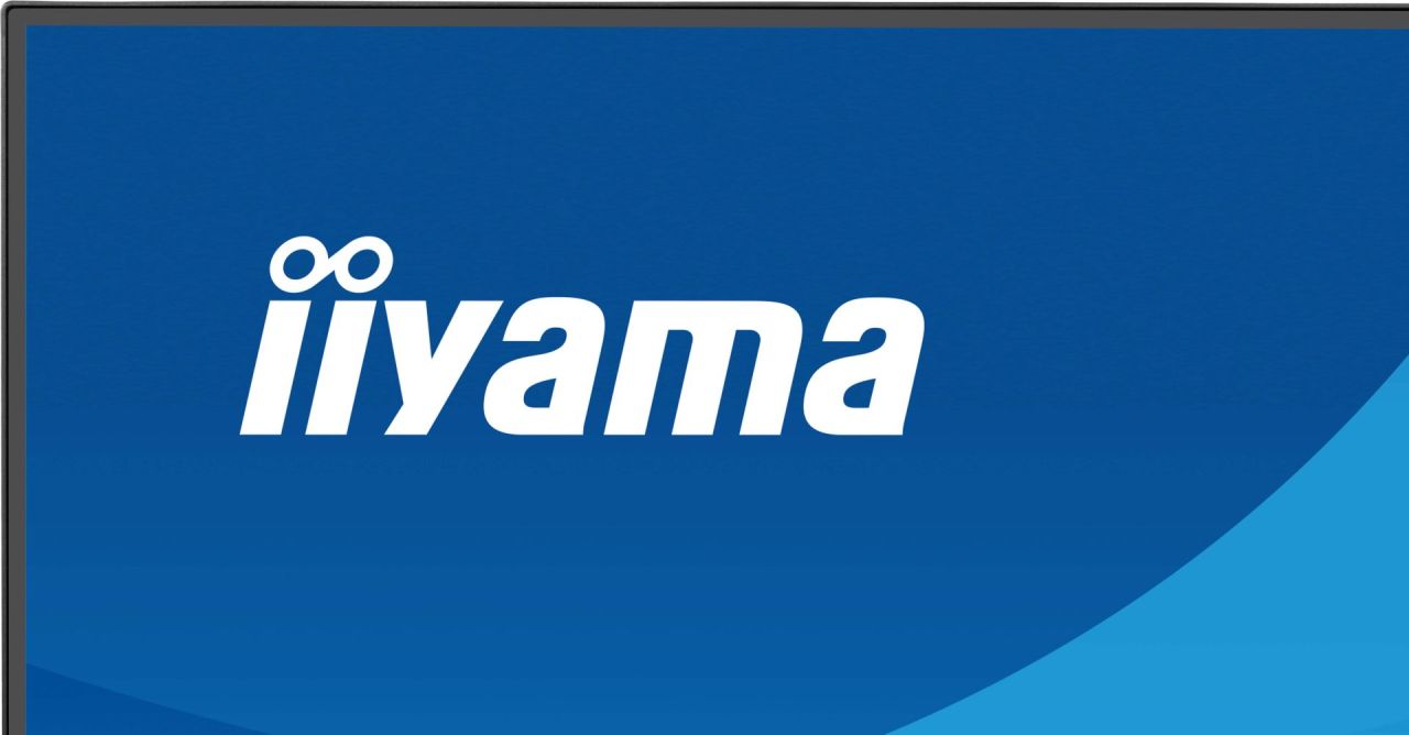 iiyama 23,8" ProLite X2491HS-B1 IPS LED