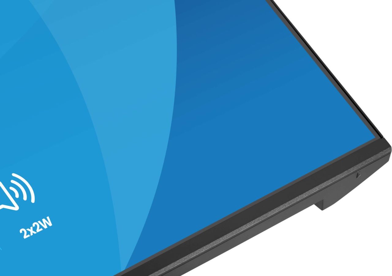 iiyama 23,8" ProLite X2491HS-B1 IPS LED