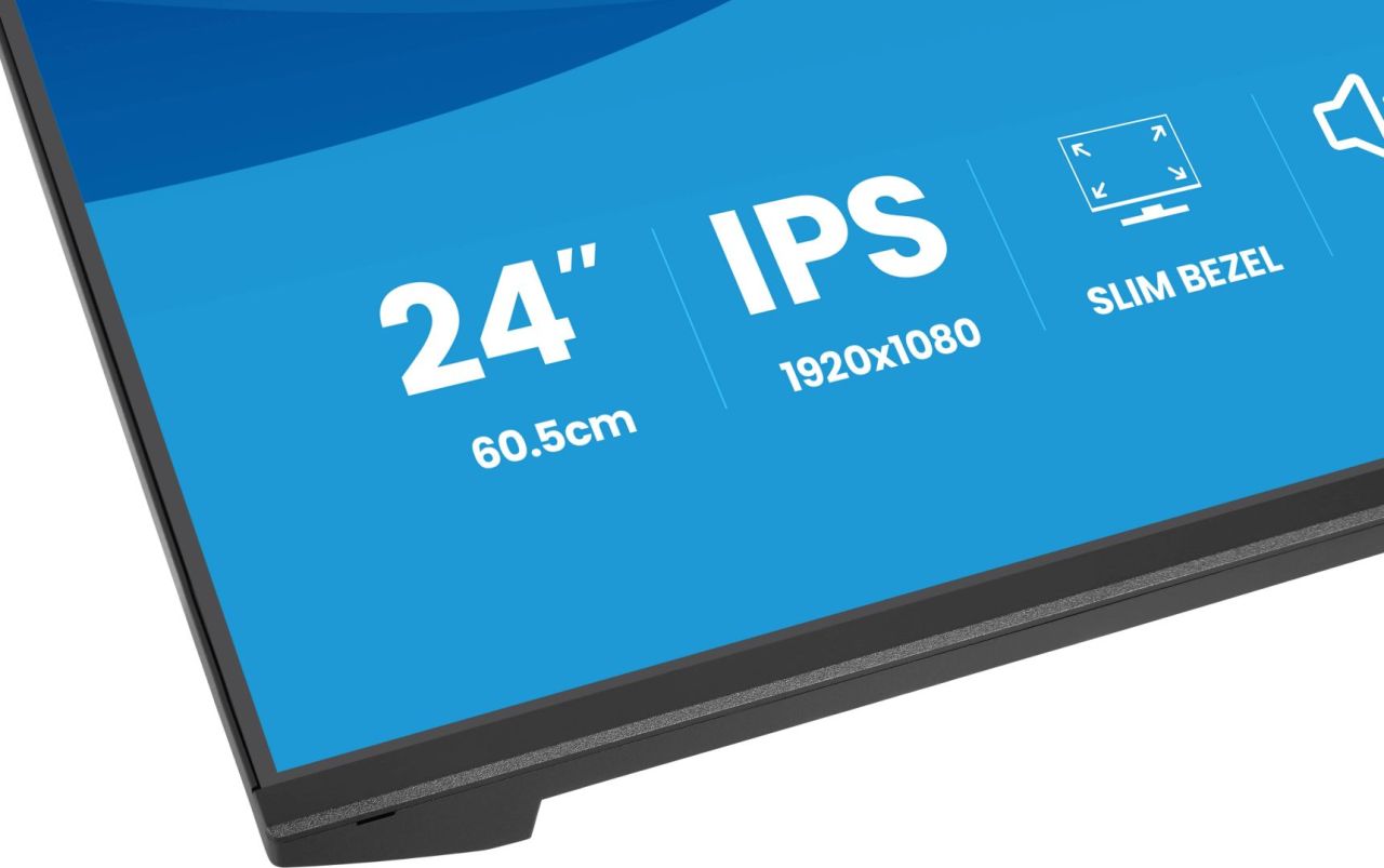 iiyama 23,8" ProLite X2491HS-B1 IPS LED