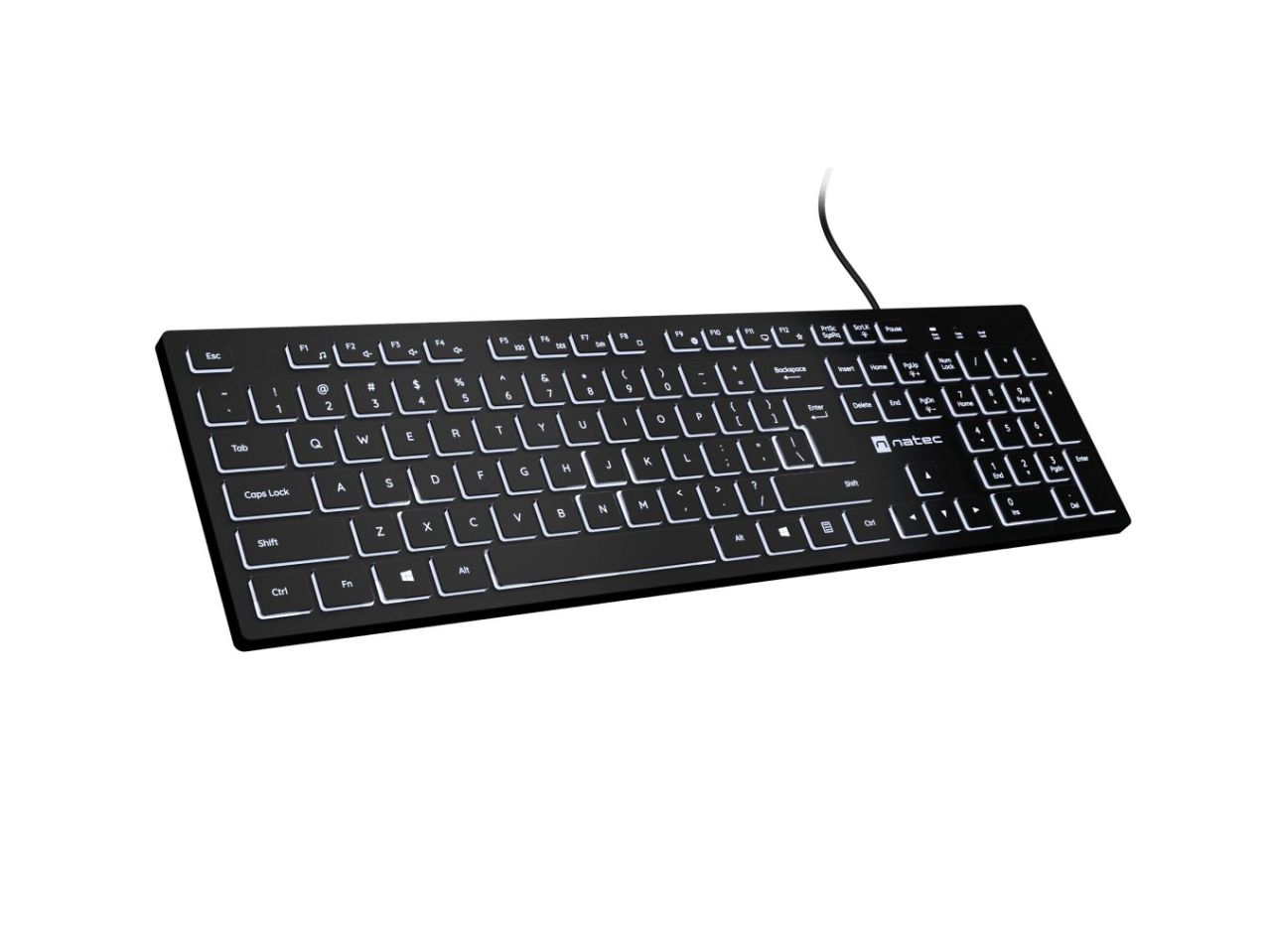 natec Herring Glow Keyboard Black US