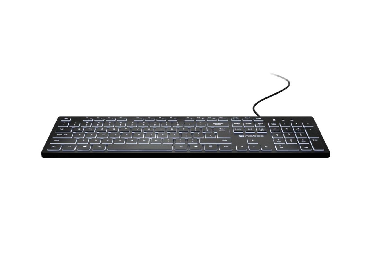 natec Herring Glow Keyboard Black US