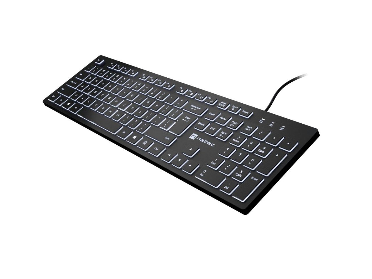 natec Herring Glow Keyboard Black US