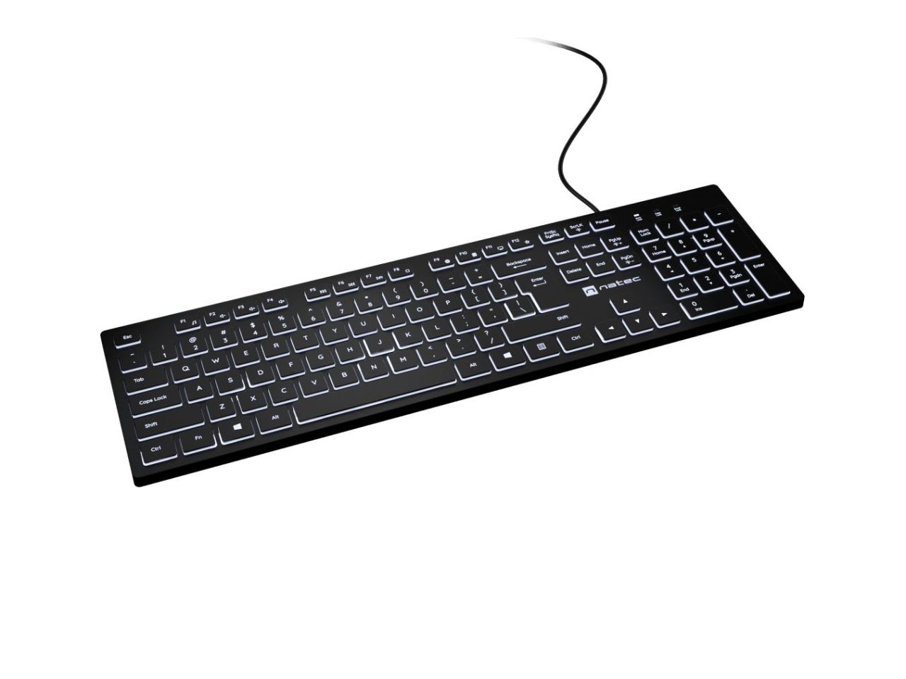 natec Herring Glow Keyboard Black US