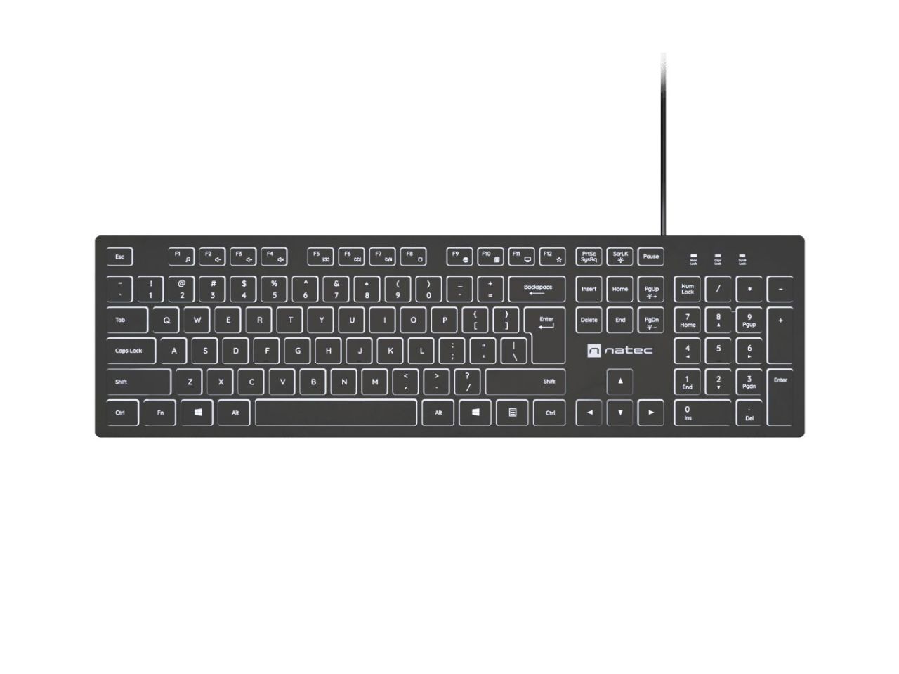 natec Herring Glow Keyboard Black US
