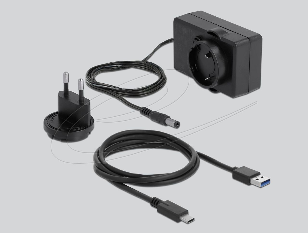 DeLock External Dual Enclosure for 2x3.5″ SATA HDD Transparent