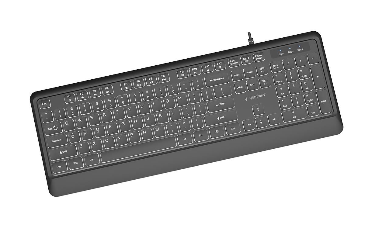 Gembird KB-UML-04 Slim Wired Backlight Keyboard Black US