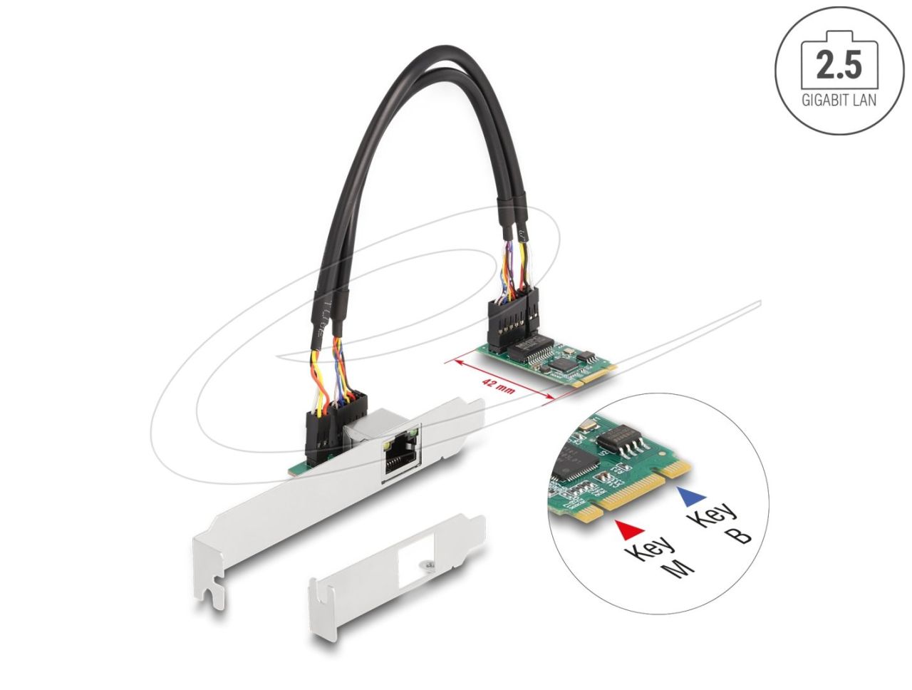 DeLock M.2 Key B+M 1 x RJ45 2,5 Gigabit LAN DeLock M.2 Key B+M 1 x RJ45 2,5 Gigabit LAN