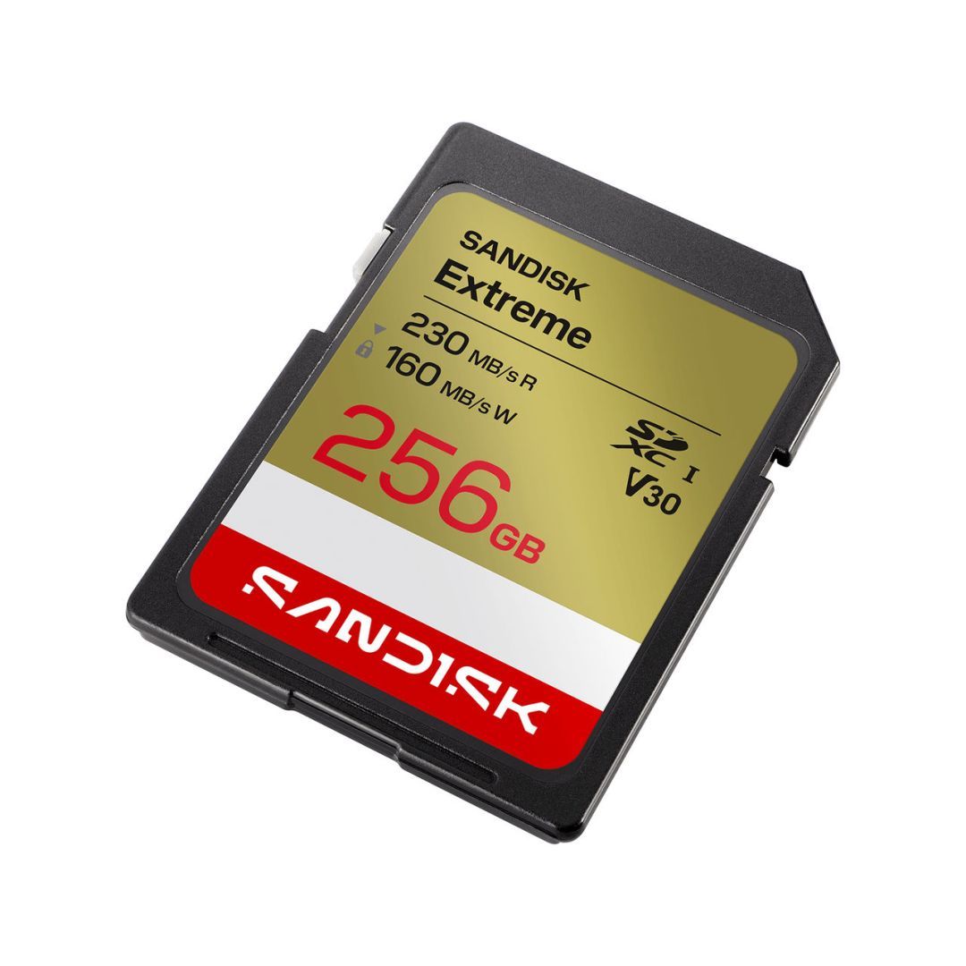 Sandisk 256GB SDXC Extreme GO UHS-I U3 V30 Sandisk 256GB SDXC Extreme GO UHS-I U3 V30