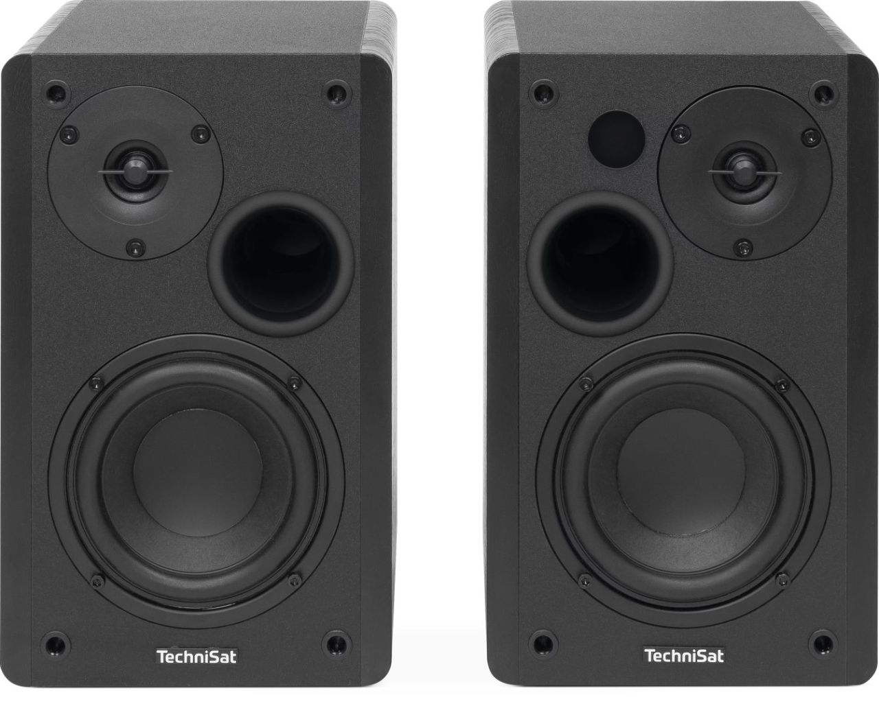 Technisat Audiomaster RLS 1