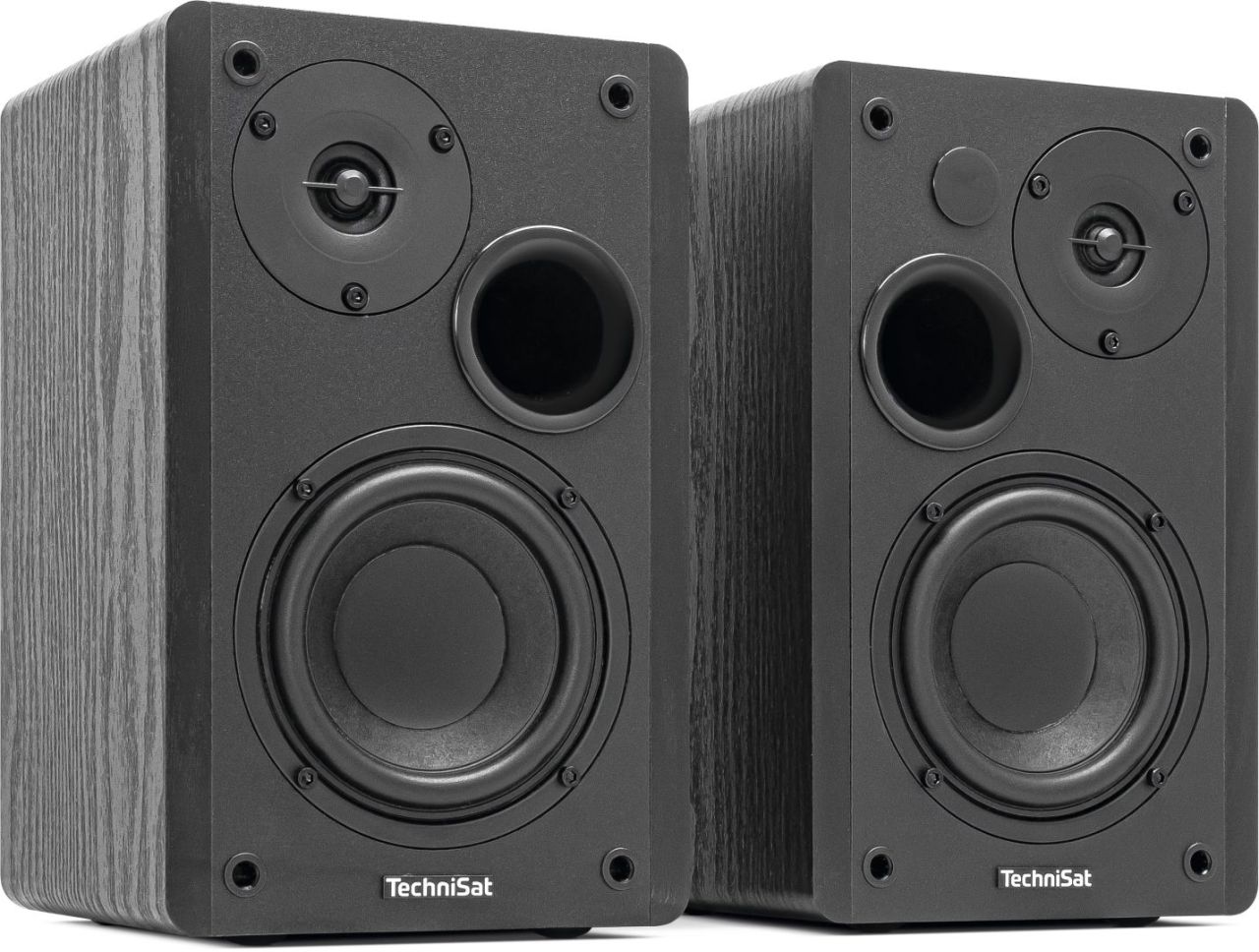 Technisat Audiomaster RLS 1