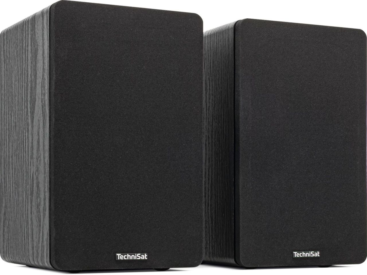 Technisat Audiomaster RLS 1