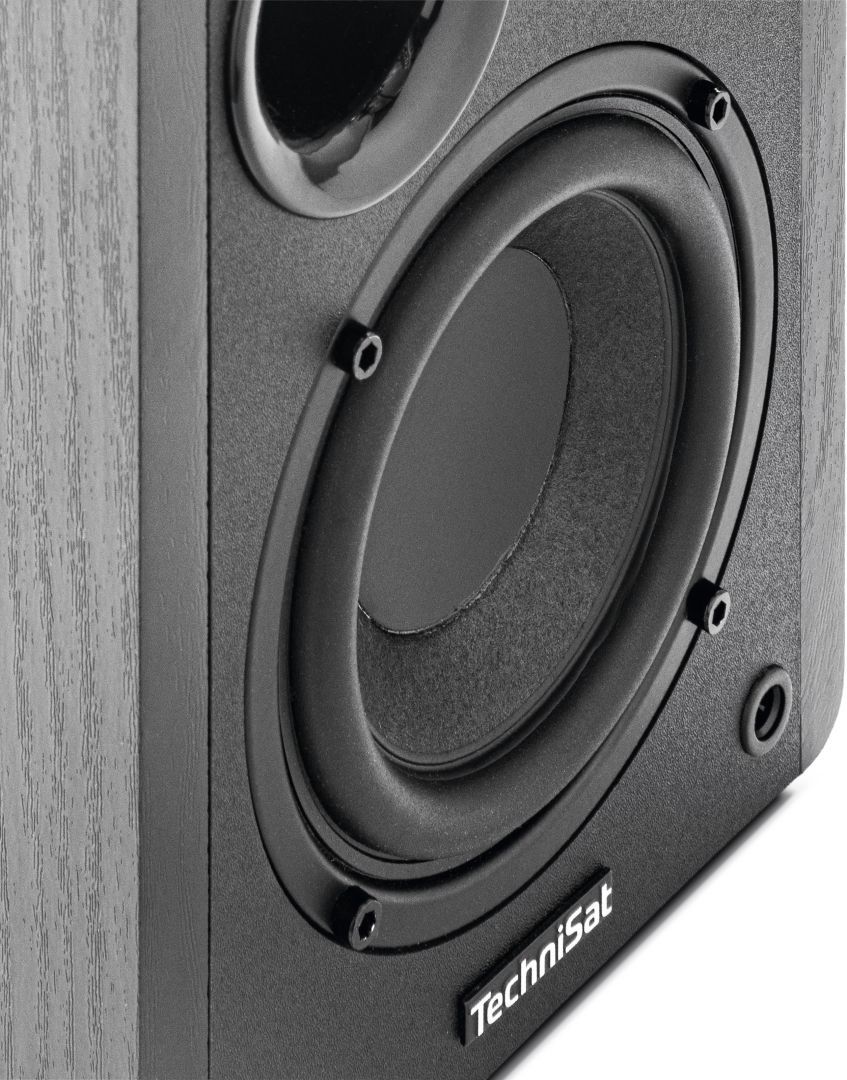 Technisat Audiomaster RLS 1