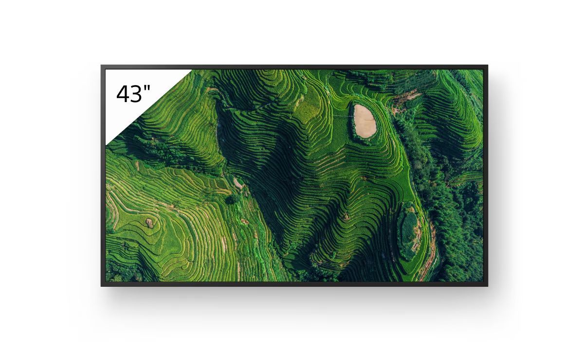 Sony 43" FW-43BZ35P IPS LED Display Sony 43" FW-43BZ35P IPS LED Display