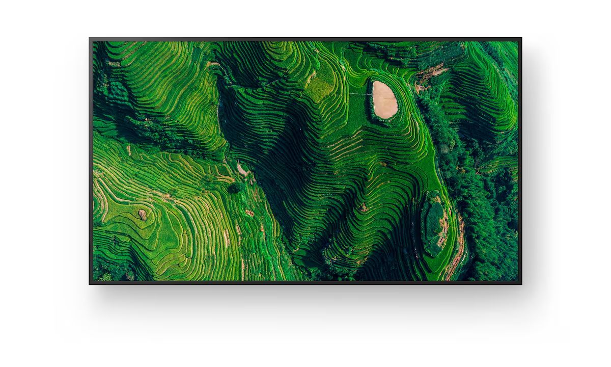 Sony 65" FW-65BZ35P IPS LED Display Sony 65" FW-65BZ35P IPS LED Display