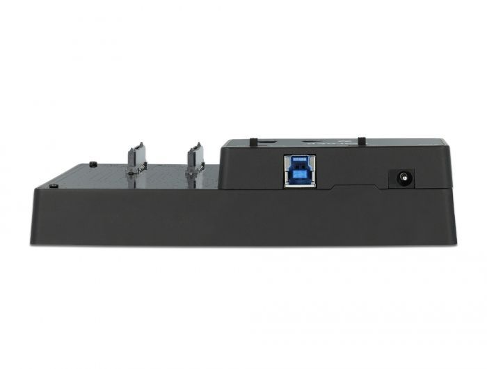 DeLock Docking and Clone Station DeLock Docking and Clone Station