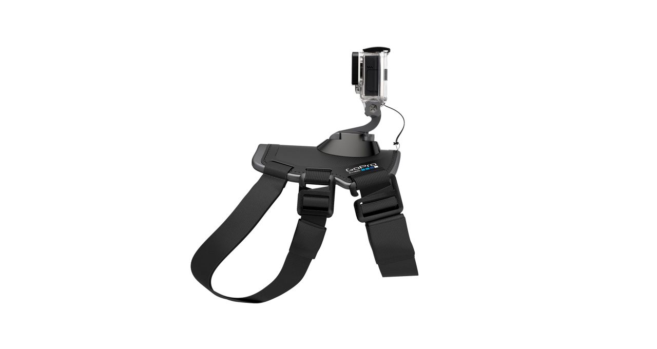 GoPro Fetch (Dog harness) GoPro Fetch (Dog harness)