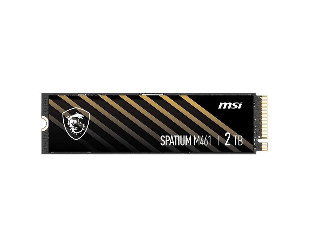 Msi 2TB M.2 2280 NVMe Spatium M461