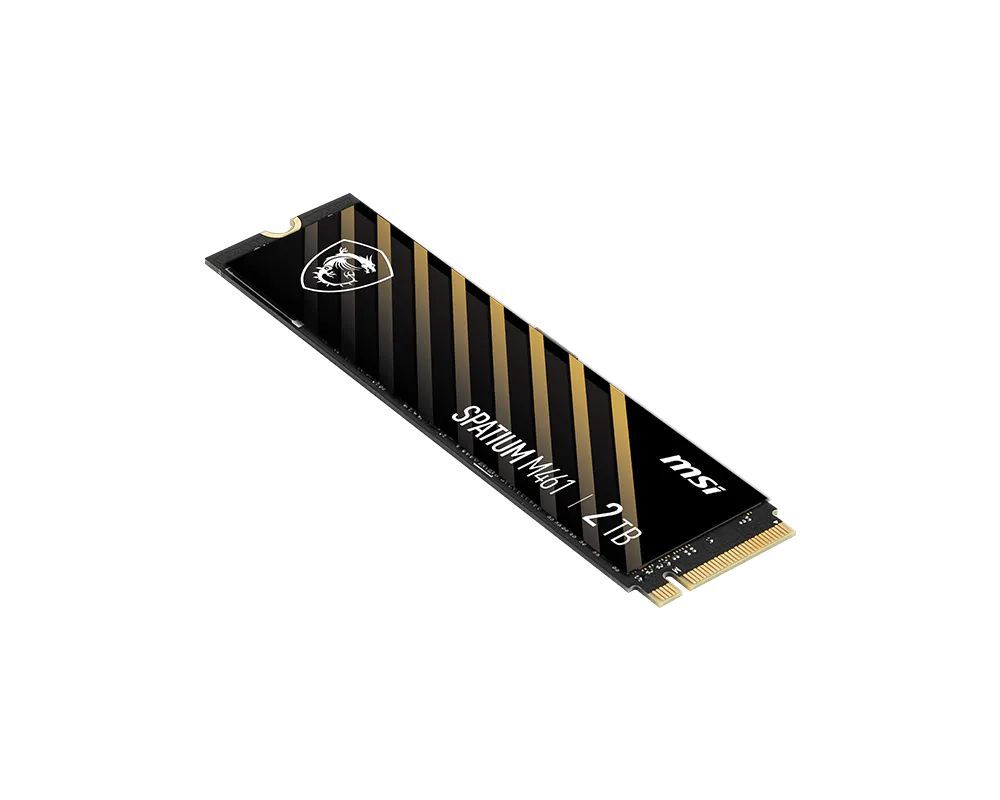 Msi 2TB M.2 2280 NVMe Spatium M461